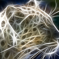 Портрет фотографа (аватар) Alexander Jaschinski