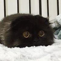 Портрет фотографа (аватар) Александр Заржицкий (Alexander Zarzhitski)