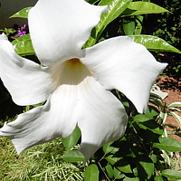Фотография Nayanaththara Sapugoda (S. G Nayanaththara Sanduni Chand) Портрет фотографа (аватар) Nayanaththara Sapugoda (S. G Nayanaththara Sanduni Chand)