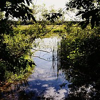 Портрет фотографа (аватар) Валентина