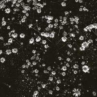 Портрет фотографа (аватар) Natalia Burlutska