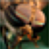 isamonov