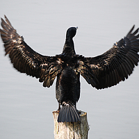 Фотография akwarek Портрет фотографа (аватар) akwarek