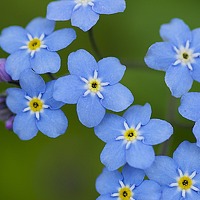 Портрет фотографа (аватар) Юлия (Швец)