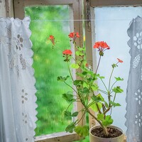 Портрет фотографа (аватар) Екатерина Чичина (Katerina Chichina)