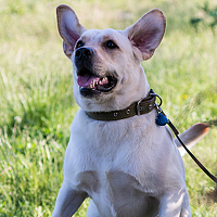 Портрет фотографа (аватар) Rita