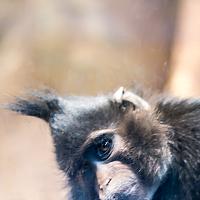 Портрет фотографа (аватар) Egor