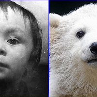 Портрет фотографа (аватар) Рустам