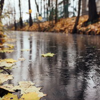 Портрет фотографа (аватар) Сергеева Марина (Marina Sergeeva)