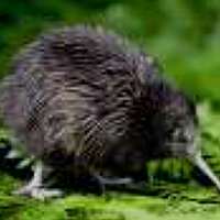 Портрет фотографа (аватар) Boguslaw