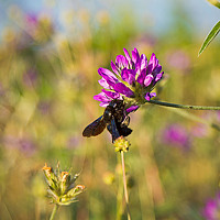 Портрет фотографа (аватар) Виктор (Victor)