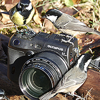 Портрет фотографа (аватар) ПУЗЕНКО ДМИТРИЙ (Dmitry Puzenko)