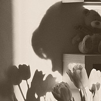 Фотография Дина Портрет фотографа (аватар) Дина