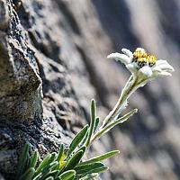 Портрет фотографа (аватар) Юлиян Бориславов (Yulian Borislavov)