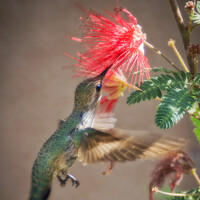 Портрет фотографа (аватар) Okselenko Oleg (Oleg Okselenko)