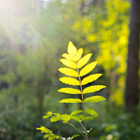 Портрет фотографа (аватар) Евгений (Evgeny Drablenkov)