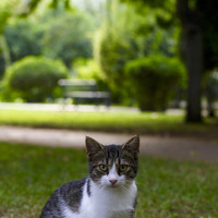 Портрет фотографа (аватар) ilker