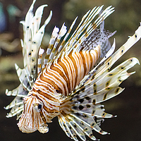 Портрет фотографа (аватар) Алёна