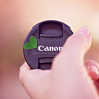 Портрет фотографа (аватар) linda