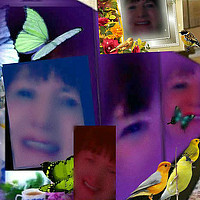 Фотография Denyse Landry Портрет фотографа (аватар) Denyse Landry