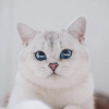 Sergey