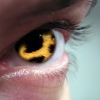 Портрет фотографа (аватар) tantal