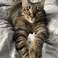 Портрет фотографа (аватар) Алия Айткалиева (Aliya Aitkaliyeva)