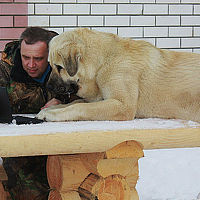 Портрет фотографа (аватар) Климов Александр