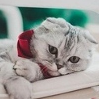 Портрет фотографа (аватар) Bulat