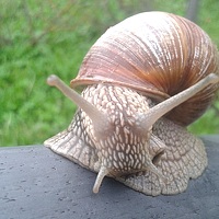 Портрет фотографа (аватар) Rutkovskaja Жаннэта (Zaneta Rutkovskaja)