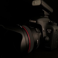 Фотография Владимир Шадрин (Vladimir Shadrin) Портрет фотографа (аватар) Владимир Шадрин (Vladimir Shadrin)