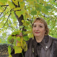 Портрет фотографа (аватар) Лидия Дорошина (Lidiya Doroshina)