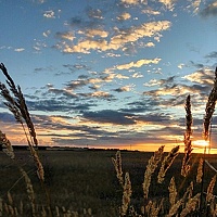 Портрет фотографа (аватар) Файникова Валерия