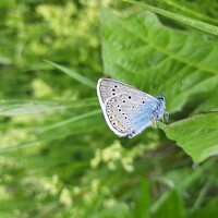 Фотография Ксения Детский фотограф (Ksenia) Портрет фотографа (аватар) Ксения Детский фотограф (Ksenia)