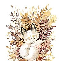 Портрет фотографа (аватар) Мария