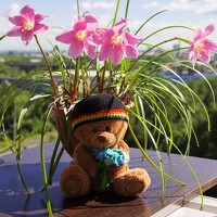 Портрет фотографа (аватар) Степанов Владимир (Stepanow Vladimir)