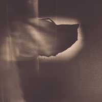 Портрет фотографа (аватар) Марина Соболева (Marina Soboleva)