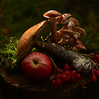 Фотография виктор Неонилин (Neonilin) Портрет фотографа (аватар) виктор Неонилин (Neonilin)