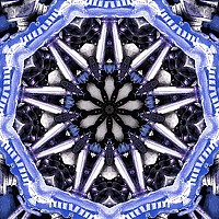 Портрет фотографа (аватар) kashani kombizz (Mr)