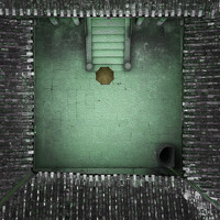 Портрет фотографа (аватар) Nguyen Nguyen Quoc (Nguyen Quoc Nguyen)