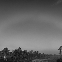 Портрет фотографа (аватар) Eduards Kapsa