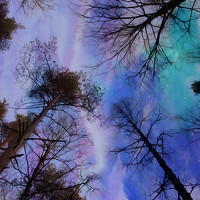 Портрет фотографа (аватар) Nailia Viitanen