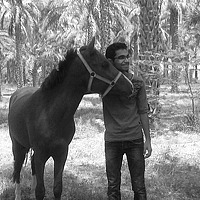 Портрет фотографа (аватар) sajjadranjbar