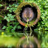 Портрет фотографа (аватар) Yuriy Denisov