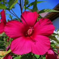 Портрет фотографа (аватар) Юлия Зеленева (Zeleneva Uliya)