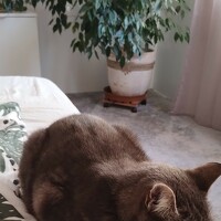 Фотография Justyna Wasinkiewicz Портрет фотографа (аватар) Justyna Wasinkiewicz