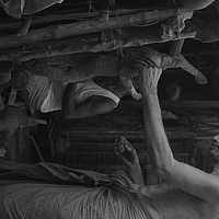 Портрет фотографа (аватар) Abhijit Kundu