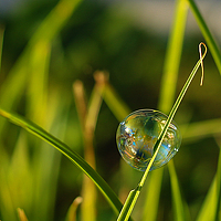 Фотография Асютина Екатерина Портрет фотографа (аватар) Асютина Екатерина