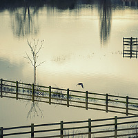 Фотография Николай Галилеев (Nikolajs Galilejev) Портрет фотографа (аватар) Николай Галилеев (Nikolajs Galilejev)