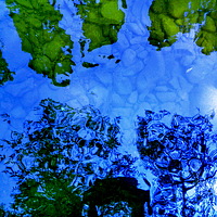 Фотография Светлана Портрет фотографа (аватар) Светлана